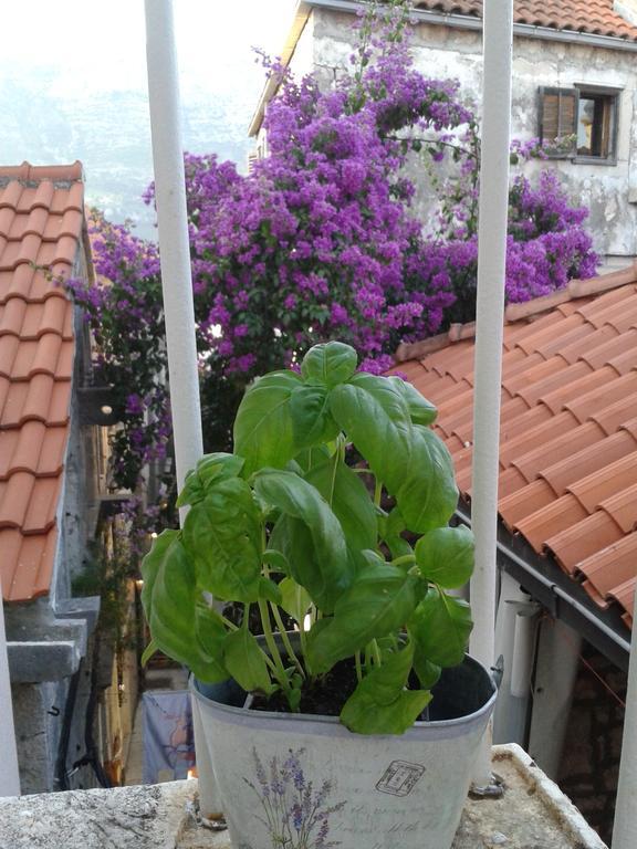 Apartments Milion Korcula Town Room photo